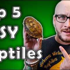 Top 5 Low Maintenance, Easiest, Least Time Consuming Reptiles