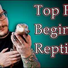 Top 5 Best Beginner Reptiles