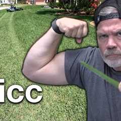 St Augustine Grass Tips // How I Get My St Augustine So Thick and Green