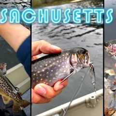 Common MISTAKES When Stocked Trout Fishing - PART 3 #shorts