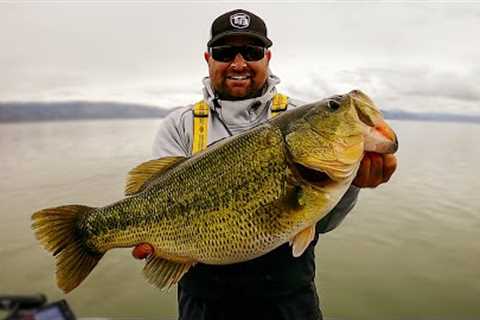 Raw Fishing Footage on Clearlake! Giant Bass Caught!! Spring Bass Fishing!