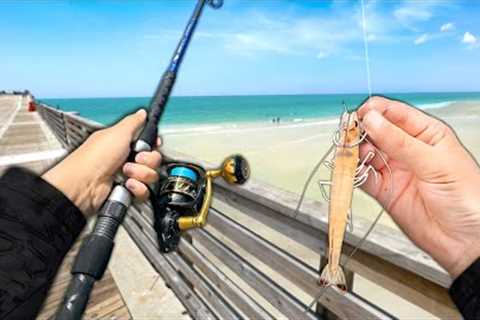 Fishing the PIER! Eating Whatever I Catch.. (Catch and Cook)