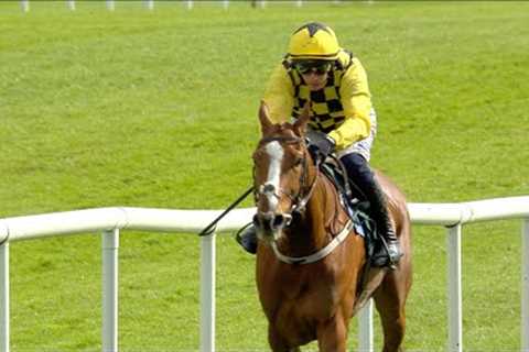 DADDY LONG LEGS kick starts Paul Townend's winning tally at the 2024 Punchestown Festival