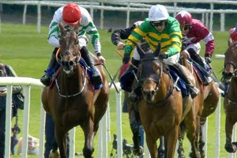 MYSTICAL POWER storms home in the 2024 KPMG Champion Novice Hurdle at the Punchestown Festival