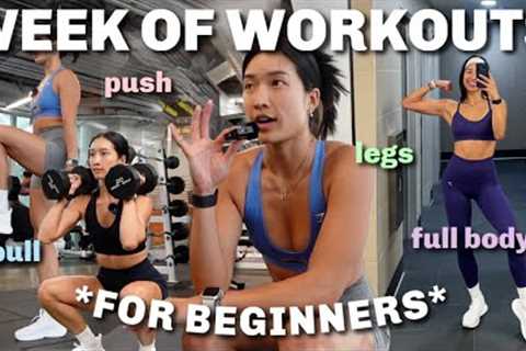 WEEK OF WORKOUTS | 4-Day BEGINNER Split to Be CONSISTENT in the Gym!