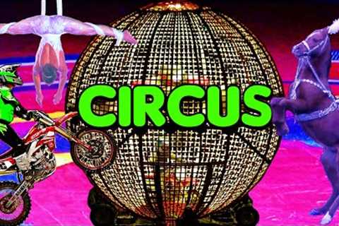 Circus Show 2023 Spectacular | Motorcycles in Globe 🌐 Arabian Horses 🐎 Clowns 🤡 and Much More...