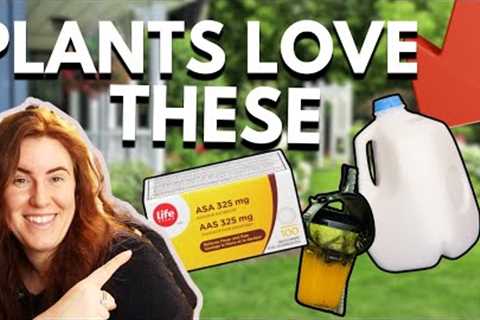 Garden Hacks That SCIENCE Says Actually Work! No Kap 🧢