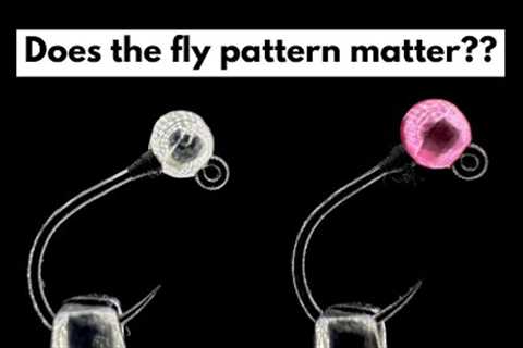 Fly pattern vs Presentation