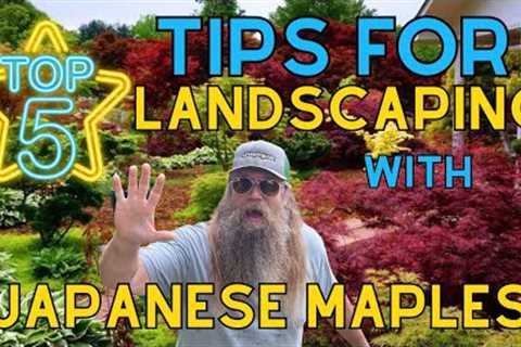 Top 5 Tips For Landscaping With Japanese Maples | DIY Garden Design | MrMaple