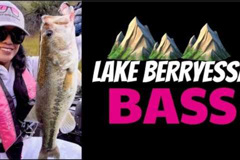 STACY FISHES LAKE BERRYESSA - Spring Bass Fishing on My Finicky Home Lake