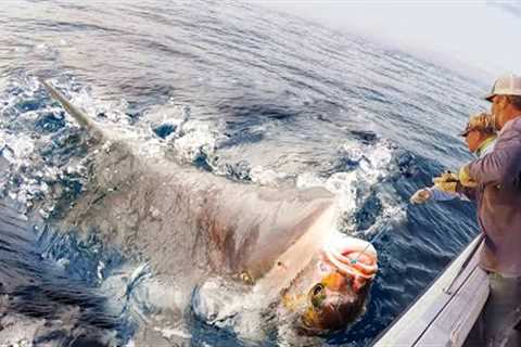 Unbelievable Fishermen Longline Fishing Tuna And  Shark Catch Thousands of Monster Fish The Big boat