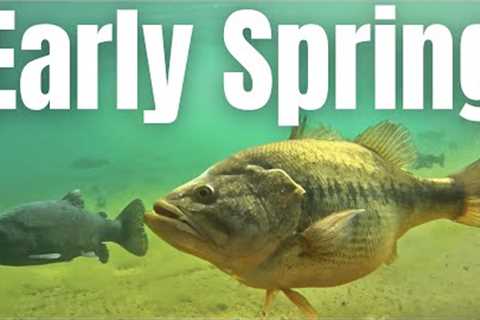 EARLY SPRING Bass Fishing COMPLETE GUIDE (How To Locate Prespawn Bass)