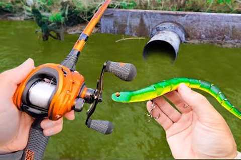 Fishing a Snake Lure for Pond MONSTERS!