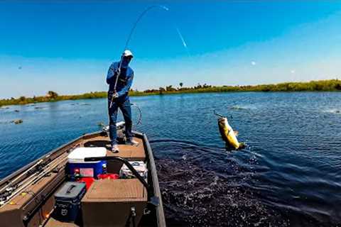 Hooking Huge Bass At Headwaters Lake With This Hydrilla Fishing Trick!