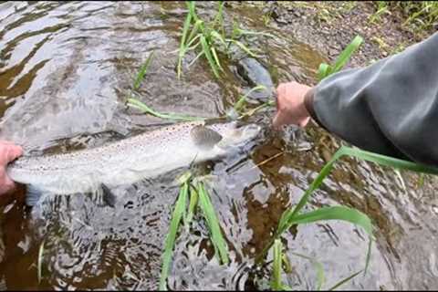 Amazing First Fish on my 10ft 3wt Fly Rod...