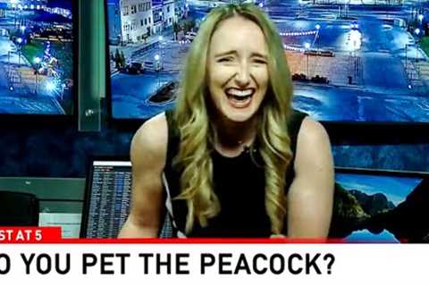 Best News Bloopers April 2024
