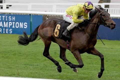 SEA JUST IN TIME - A future Classic winner following sparkling debut at Newmarket?