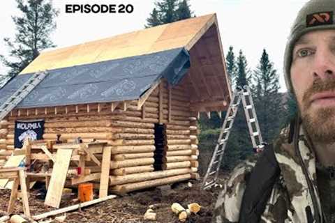 Winter Log Cabin Build on Off-Grid Homestead |EP20|