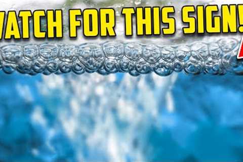 Signs That Something is Wrong In Your Aquarium - Don't Ignore These!