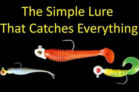 The Simple Lure that Catches Everything - Jig Swimbait Fishing