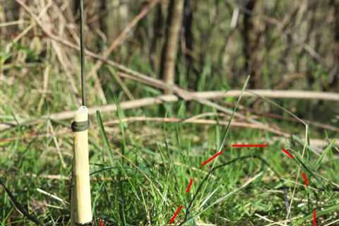 How To Make a Snare Trap With Snare Wire