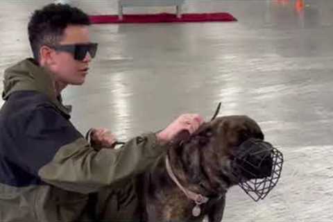 I Am The Dog Daddy.