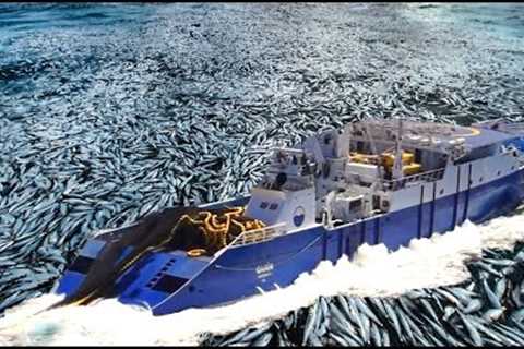Unbelievable Fishermen Easily Catch Hundreds Of Tons Of Anchovies Big Net On The Boat