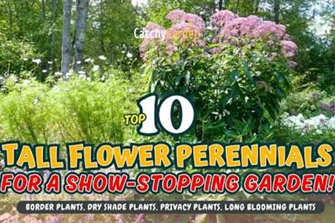 TOP 10 TALL FLOWER PERENNIALS FOR A SHOW-STOPPING GARDEN! 🌻🌹🌼 // Gardening Ideas