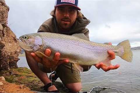 Chasing BIG Rainbow Trout w/ the Fly Rod!! (Catch &amp; Cook)