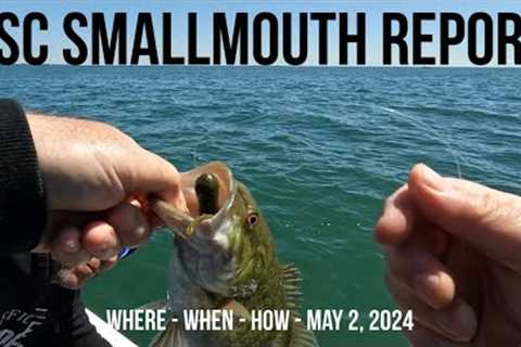 Lake St Clair Smallmouth Bass Fishing Report May 2024