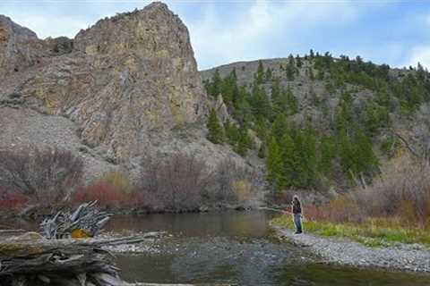 I found the PERFECT Spring STREAM | Idaho Fly Fishing Pt.2