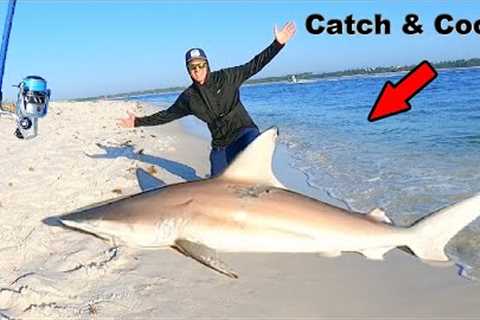 Caught and Cooked a SHARK From the BEACH!! *Catch, Clean, &amp; Cook*