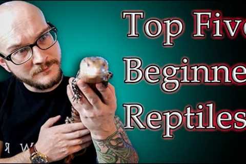 Top 5 Best Beginner Reptiles