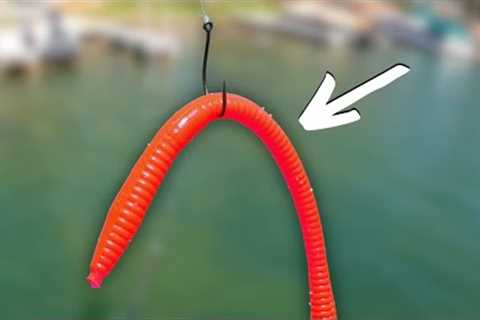 Bass CAN'T Resist These LURES In May