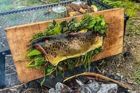 Cooking Fish on a Plank of Wood | Fly Fishing Catch &amp; Cook