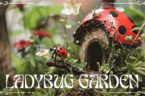 LADYBUG GARDEN 4K(60FPS)🐞🌿 Peaceful Classical Music to Reduce Stress &amp; Rain Sound ♫ - #98