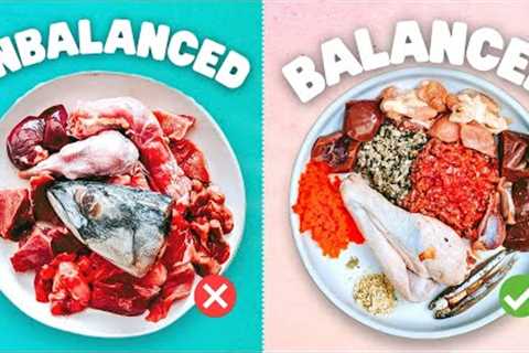 How To Balance Your Dog's Raw Diet