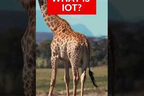 What is IOT | IOT in 1 min| Types of IOT Devices | Simplyinfo - Short