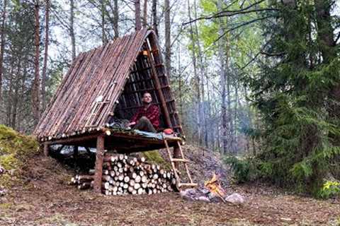 Three days in a wild forest!  Building a Bushcraft to survive in the wild. Cooking food over fire.
