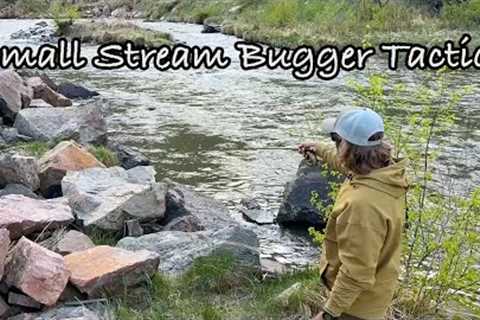 Small Stream Bugger Fishing: Tips and Tactics!