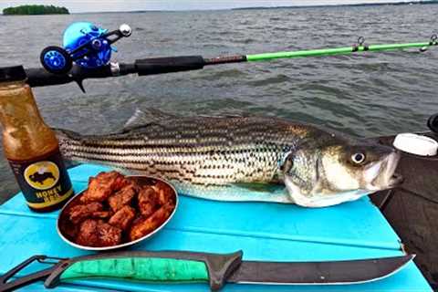 Catch n’ Cook BBQ STRIPER WINGS on the Boat!