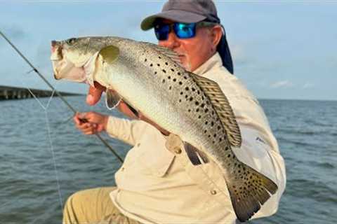 How a Fishing Guide Attacks This Bridge!