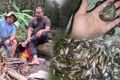 Fishing adventure and cooking delicious  jungle food with @kents350