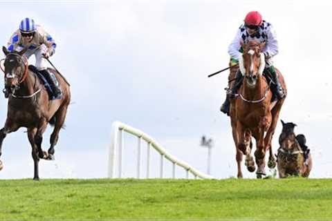 A fantastic finish to the William Hill Champion Chase as BANBRIDGE gets up on the line!