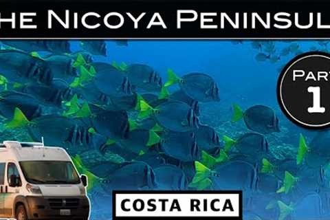 Scuba Diving in the Islas Catalinas | Vanlife Costa Rica