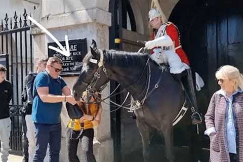 TOURIST BAG GOT STUCK in Horse's Mouth  The King's Guard smiled at Horse Guards in London