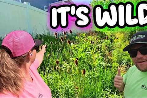THEY WILL HATE ME IF WE GET THIS OVERGROWN JOB!!!