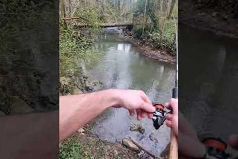 This Lake Is A Good Place For Fishing