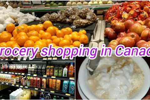 Grocery shopping🛒 in Canada🇨🇦: H-mart, Homesense, T &amp;T. cooking soya dessert.