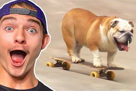 Animals That Went More Viral than Mr. Beast